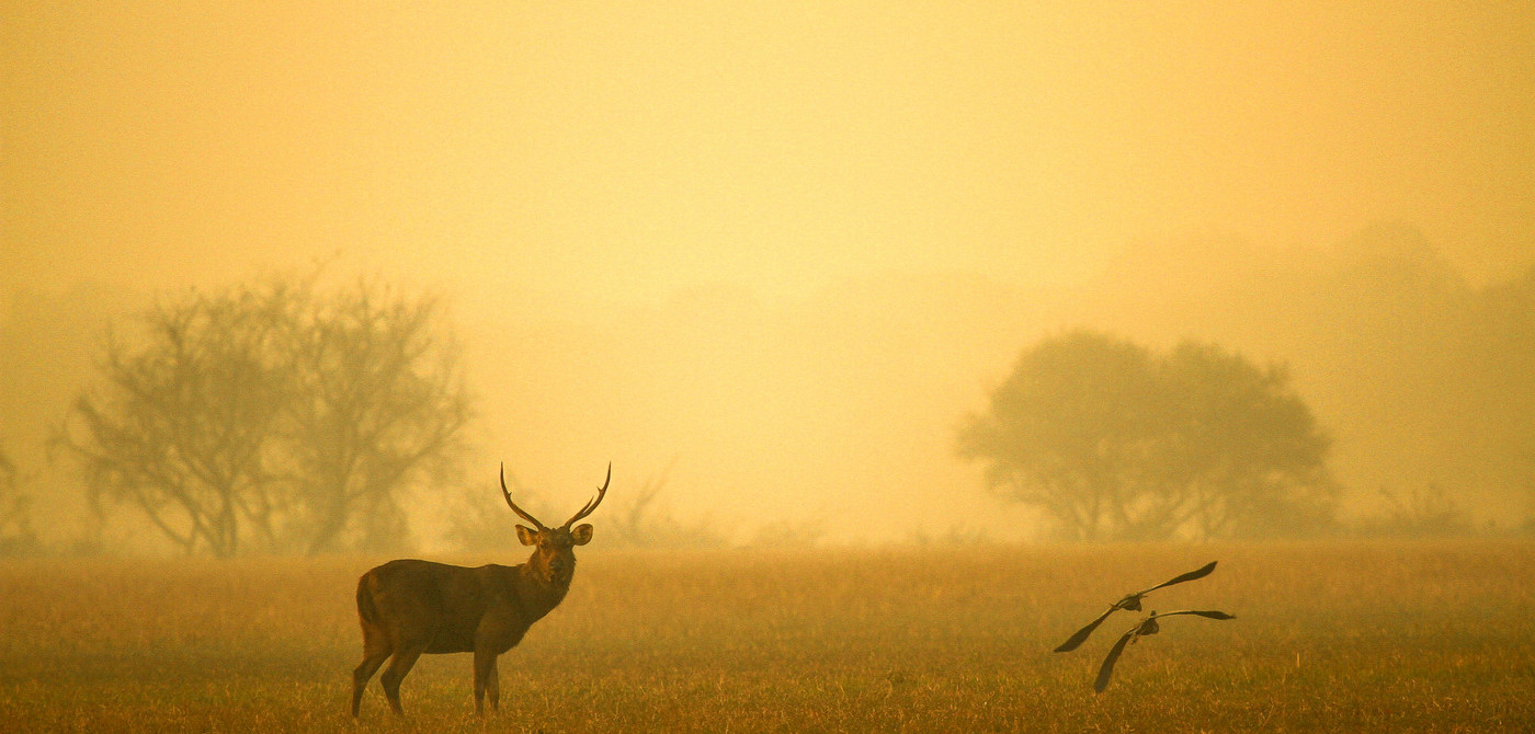 Bharatpur rajsathan