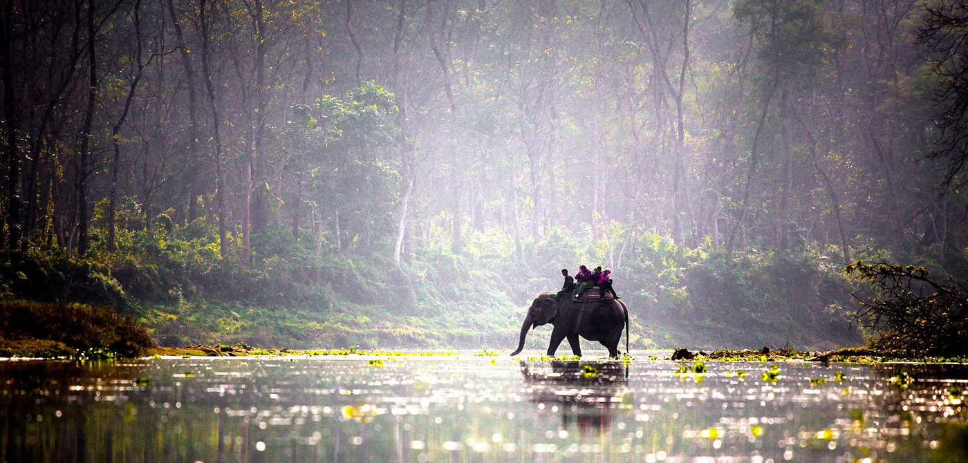 Chaitwan National Park