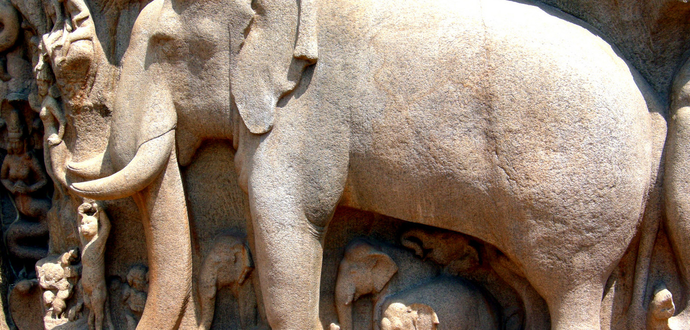 Mahabalipuram Elephant
