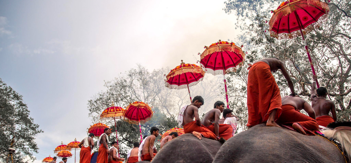Elephant Festival Kerala
